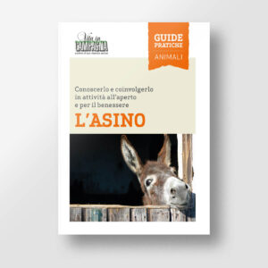 L'Asino | Copertina