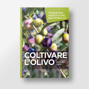 Coltivare l'olivo | Copertina